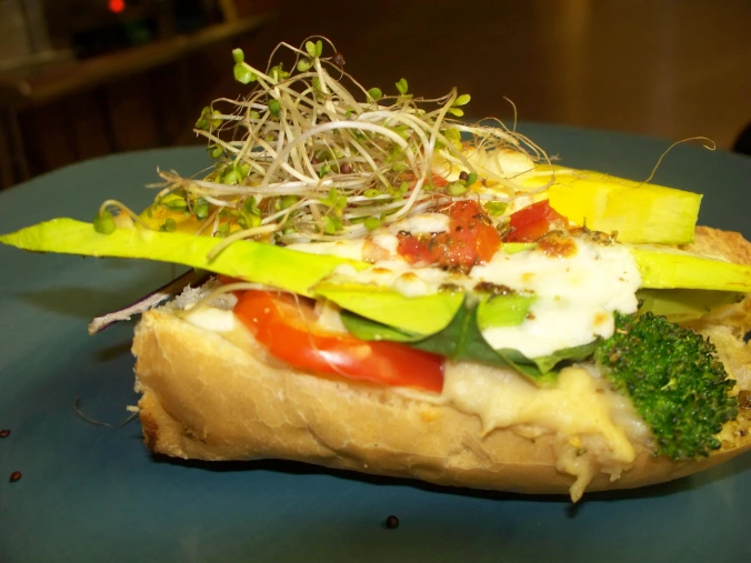Amazing Avocado and Hummus Sandwich